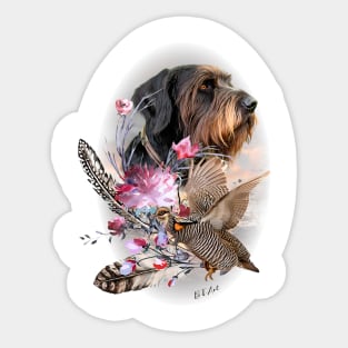 German Wirehaired Pointer hunting woodcock Sticker